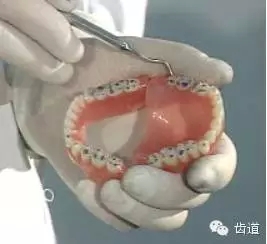 9.webp.jpg 9.webp.jpg