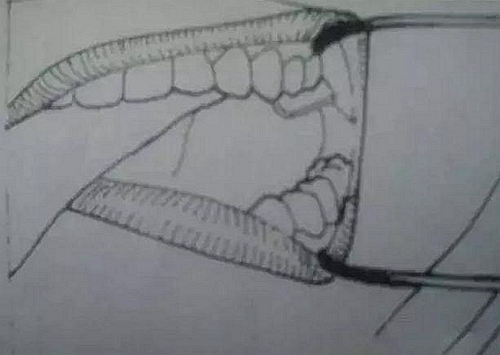 5.jpg 5.jpg